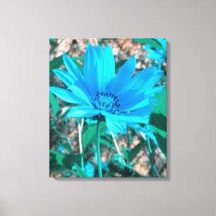 Wild blaue Sonnenblumen ummantelte Canvas Print Leinwanddruck