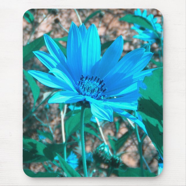 Wild blauer Sonnenblumenmousepad Mousepad (Vorne)