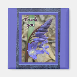 Wild Blue Hyacinth Vielen Dank Magnet