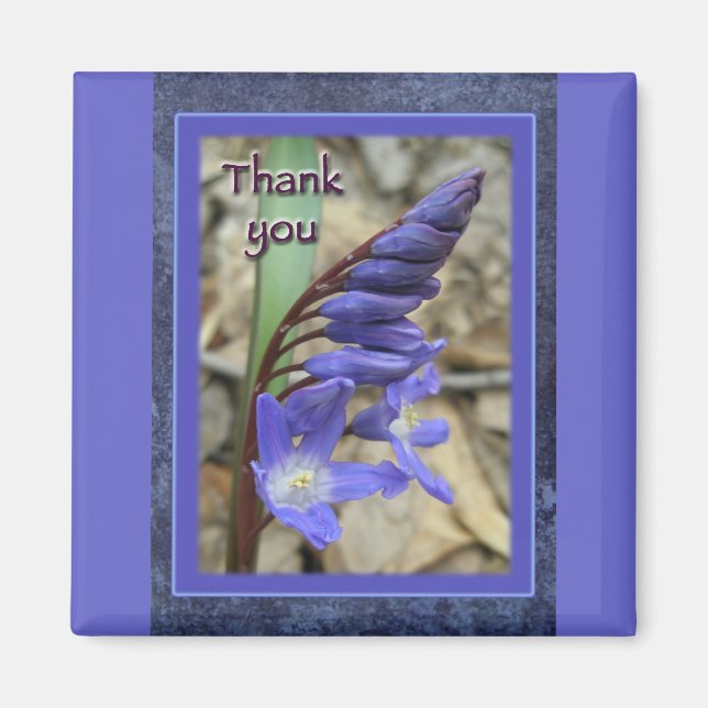 Wild Blue Hyacinth Vielen Dank Magnet (Vorne)
