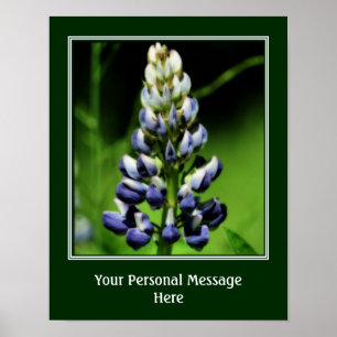 Wild Blue Lupine Blume Personalisiert Poster