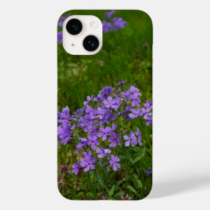 Wild Blue Phlox iPhone Case
