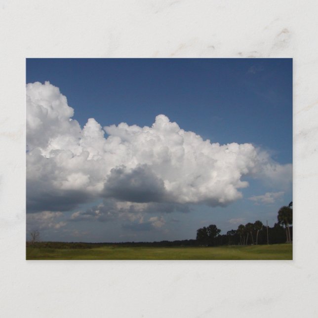 Wild Blue Yonder Postkarte (Vorderseite)