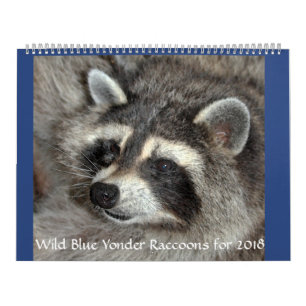 Wild Blue Yonder Raccoons von 2018 Kalender
