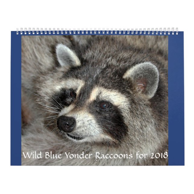Wild Blue Yonder Raccoons von 2018 Kalender (Titelbild)