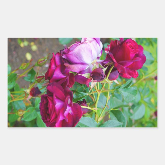 Wild Blue Yonder Rose #1-2 Stickers (Vorderseite)