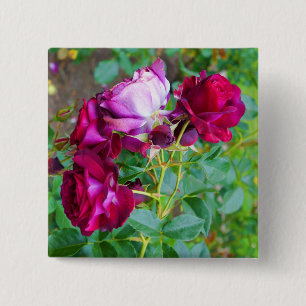 Wild Blue Yonder Rose #1 Button