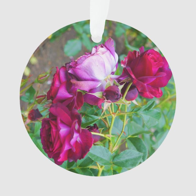 Wild Blue Yonder Rose #1 Ornament (Vorderseite)