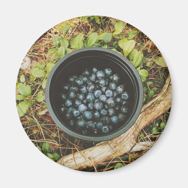Wild Blueberry Picking Magnet (Vorne)
