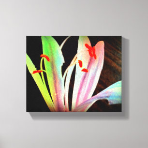 Wild Blume Canvas Print Leinwanddruck