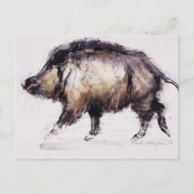 Wild Boar 1999 Postkarte (Vorderseite)