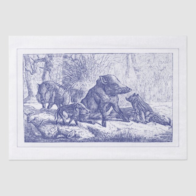 Wild-Boar-Familie Zeichnend Blau Seidenpapier (Vorderseite)