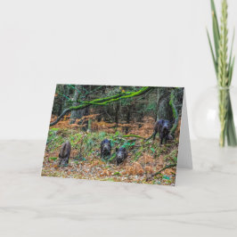 Wild Boar Karte