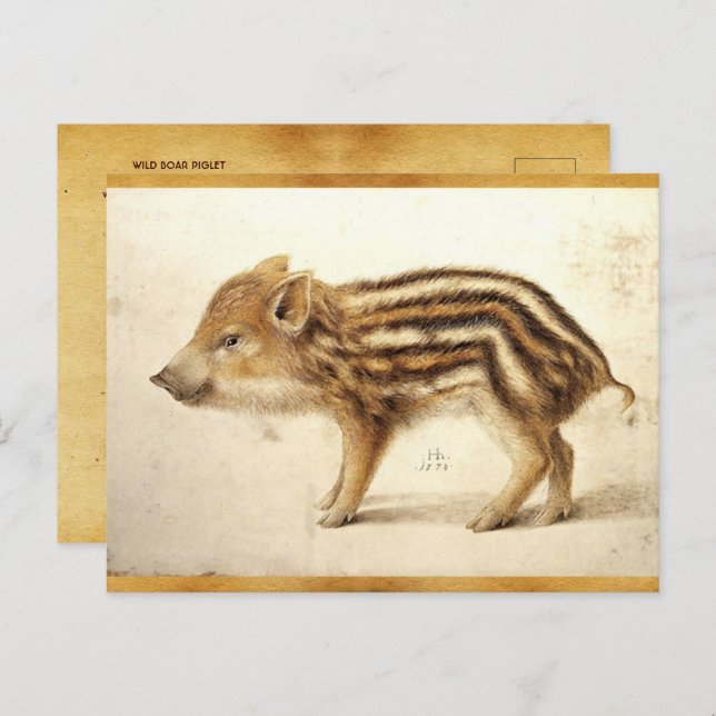WILD BOAR PIGLET Antikes Zeichnend Tierparkett Postkarte (Vorne/Hinten)