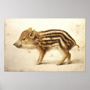 WILD BOAR PIGLET / Tierzeichnungen Poster