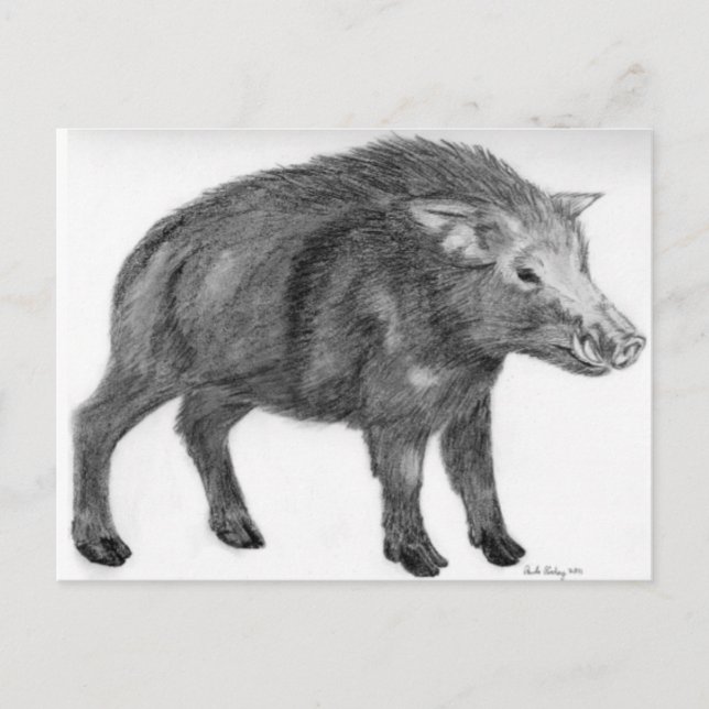 Wild Boar, Verteidigungsbereitschaft Postkarte (Vorderseite)