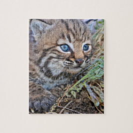 Wild Bobcat Kitten Puzzle