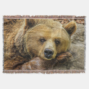 Wild Brown Bear Decke