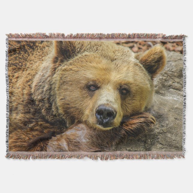Wild Brown Bear Decke (Vorderseite)