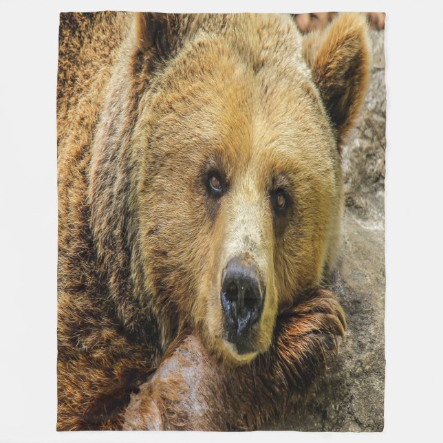 Wild Brown Bear Fleecedecke (Vorderseite)