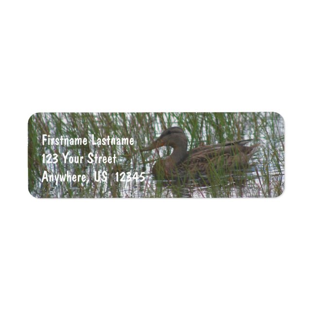 Wild-Brown-Ente in Pond Nature-Adresse (Vorne)