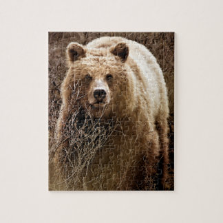 Wild Brown Grizzly Bär - Wildnis Puzzle