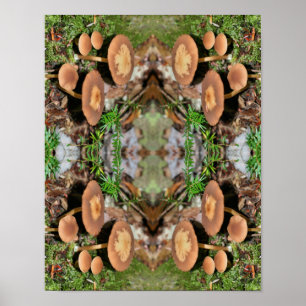 Wild Brown Mushroom Cluster Abstrakt Poster
