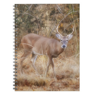 Wild Buck Deer in einem Fall-Meadow-Journal-Notebo Notizblock