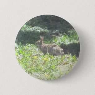 Wild Bunny Button