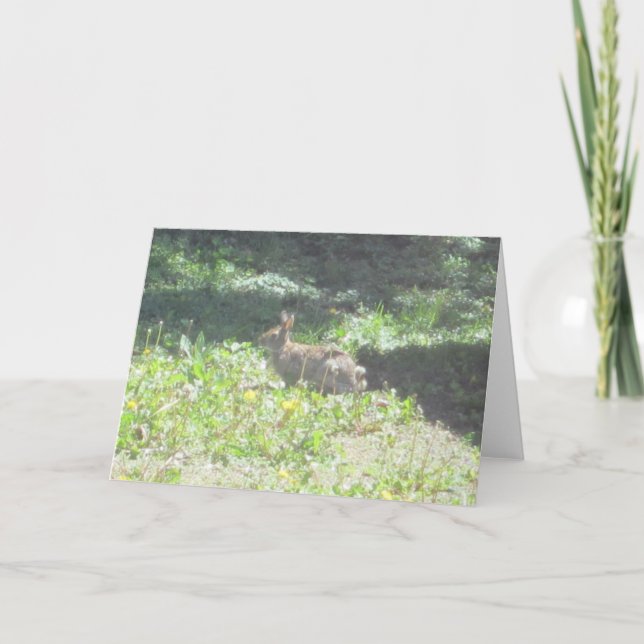 Wild Bunny Greeting Card Karte (Vorderseite)