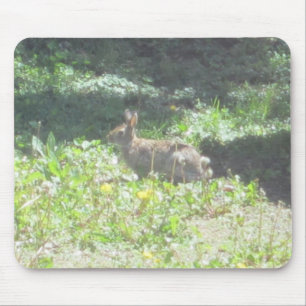 Wild Bunny Mousepad