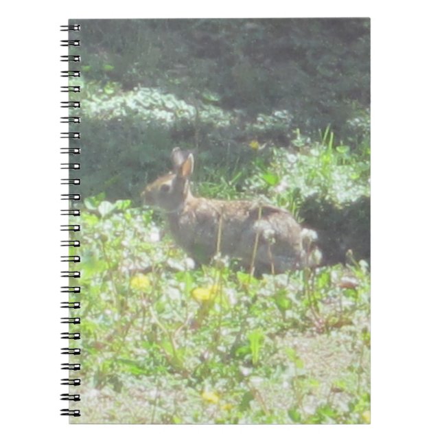 Wild Bunny Notebook Notizblock (Vorderseite)
