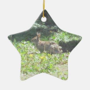 Wild Bunny Ornament