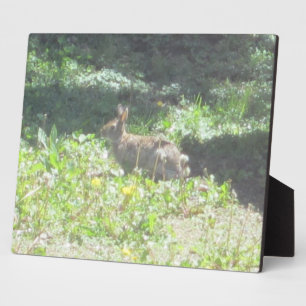 Wild Bunny Plaque Fotoplatte