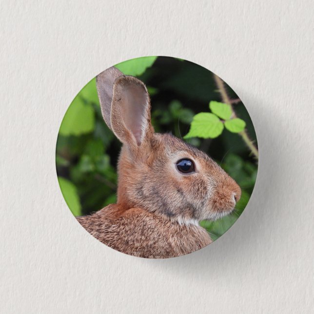 Wild Bunny Rabbit Button (Vorderseite)