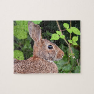 Wild Bunny Rabbit Nah Puzzle