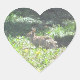 Wild Bunny Stickers - Blatt von 20