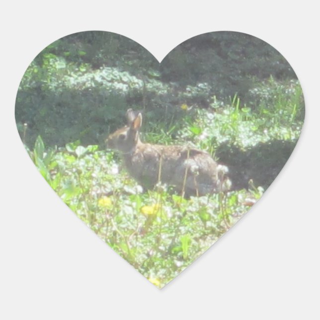 Wild Bunny Stickers - Blatt von 20 (Vorderseite)