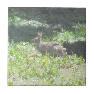Wild Bunny Tile Fliese