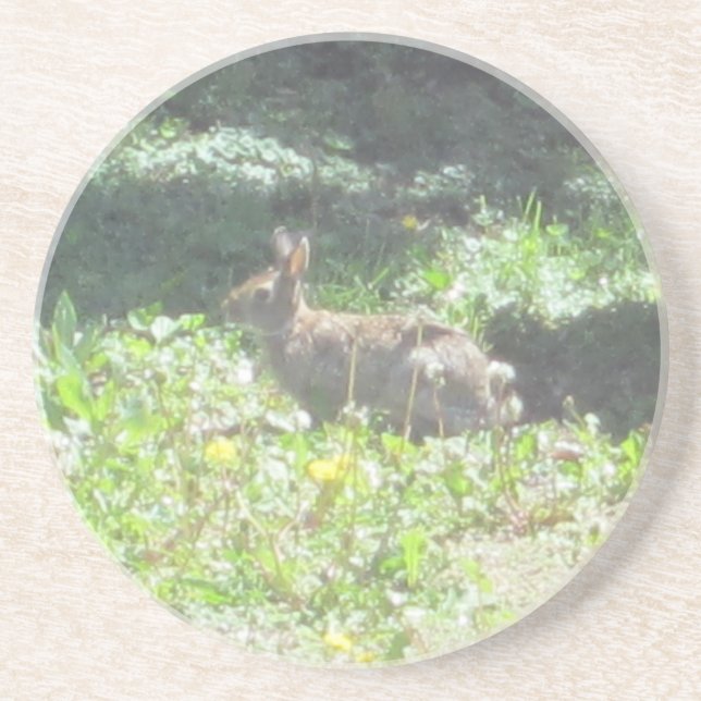 Wild Bunny Untersetzer (Vorne)