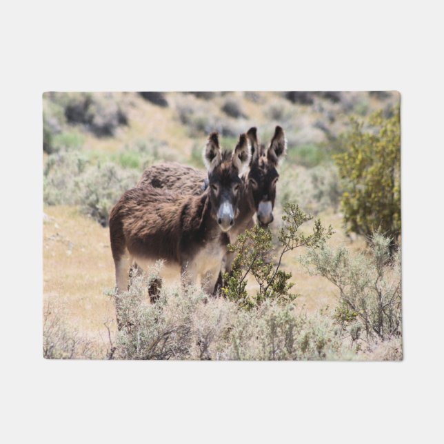 Wild-Burro-Paar im Zentrum von Nevada Fußmatte (Vorderseite)