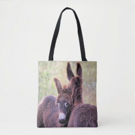Wild Burros