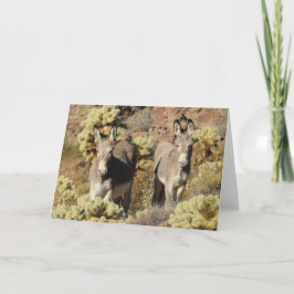 Wild Burros Greeting Karte
