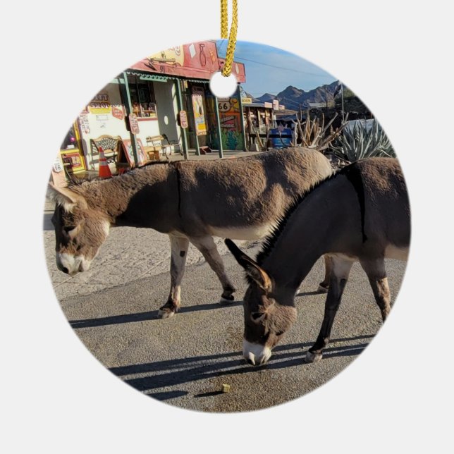 Wild Burros in Oatman, Arizona Keramik Ornament (Vorne)