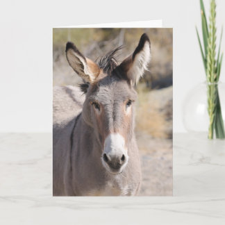 Wild Burros of California Karte