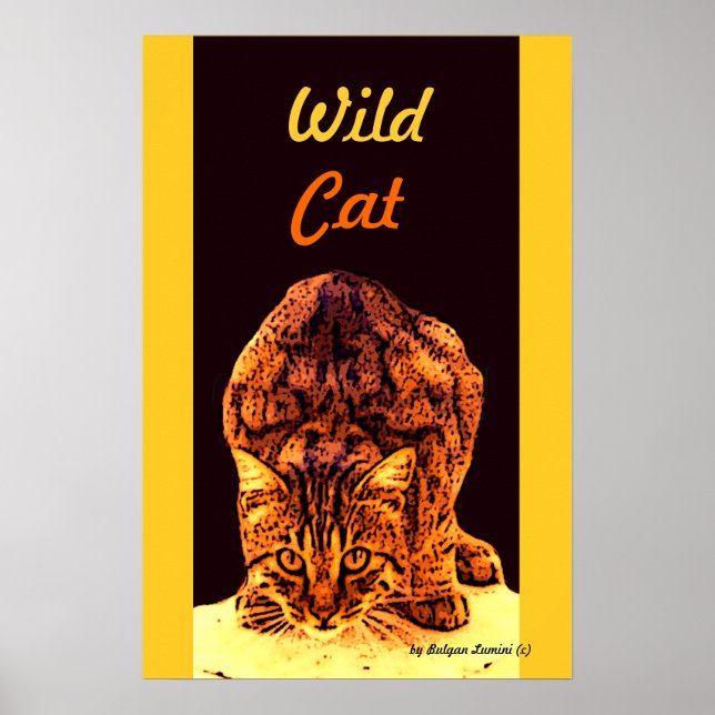 WILD CAT KITTEN POSTER (Vorne)