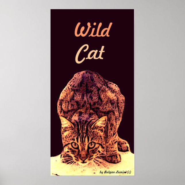 WILD CAT KITTEN POSTER (Vorne)