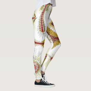 Wild Chamomile von Ernst Haeckel, Vintage Natur Leggings
