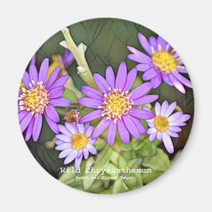 Wild Chrysanthemum Magnet