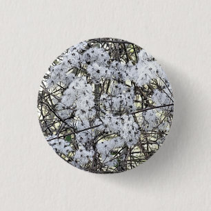 WILD CLEMATIS BUTTON